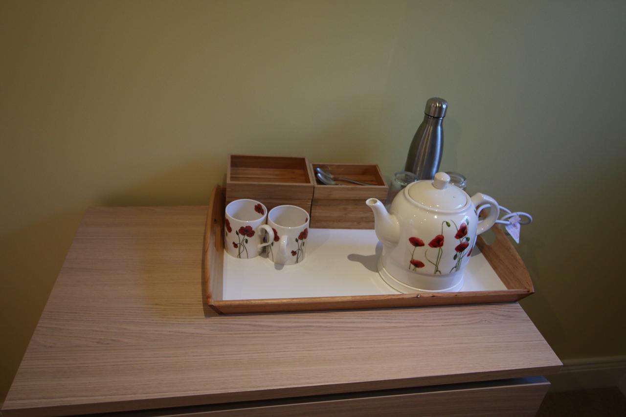 Feetnpaws Bed and Breakfast Portaferry Eksteriør billede